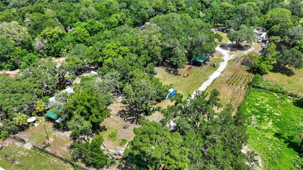 An aerial view shows a wooded property with a house, outbuildings, and a dirt driveway — 9922 ROCKHILL ROAD, THONOTOSASSA, FL