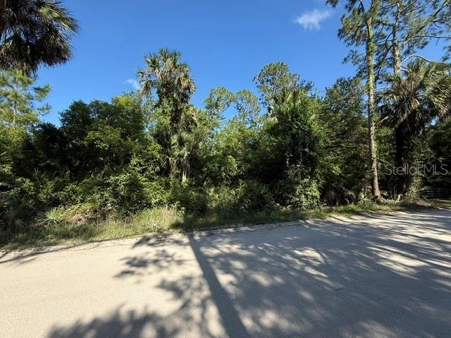 A vacant, wooded lot sits along a paved road under a clear blue sky — COUNTY ROAD 75, BUNNELL, FL