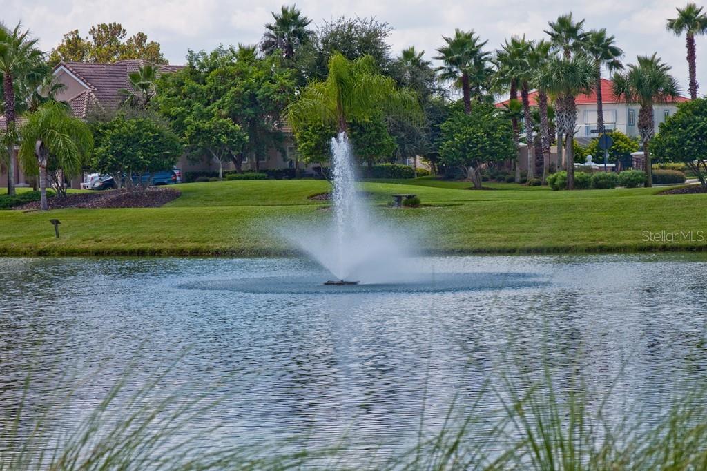 A water fountain sprays in the center of a pond surrounded by grass and palm trees — 36 OLD OAK DRIVE S, PALM COAST, FL