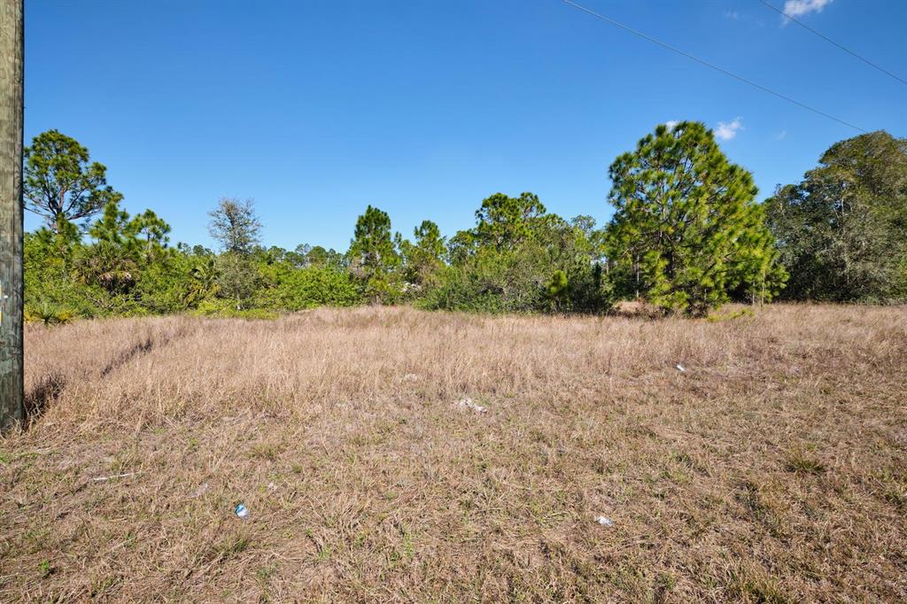 A vacant, grassy lot with scattered trees under a clear blue sky — 1025 WINTERS STREET E, LEHIGH ACRES, FL