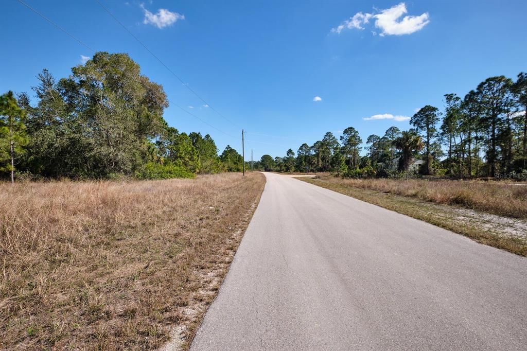 A paved road runs through a grassy, wooded lot under a clear blue sky — 1025 WINTERS STREET E, LEHIGH ACRES, FL
