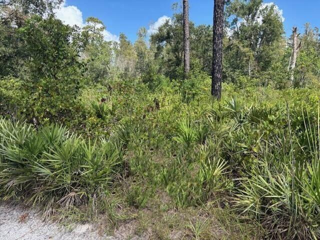 0 County Rd 54, FL 33849, FL — photo 2 of 3