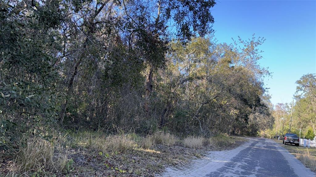 A narrow paved road runs alongside a dense, wooded lot under a clear blue sky — 0 BOUNTY/BARRETT, NEW PORT RICHEY, FL