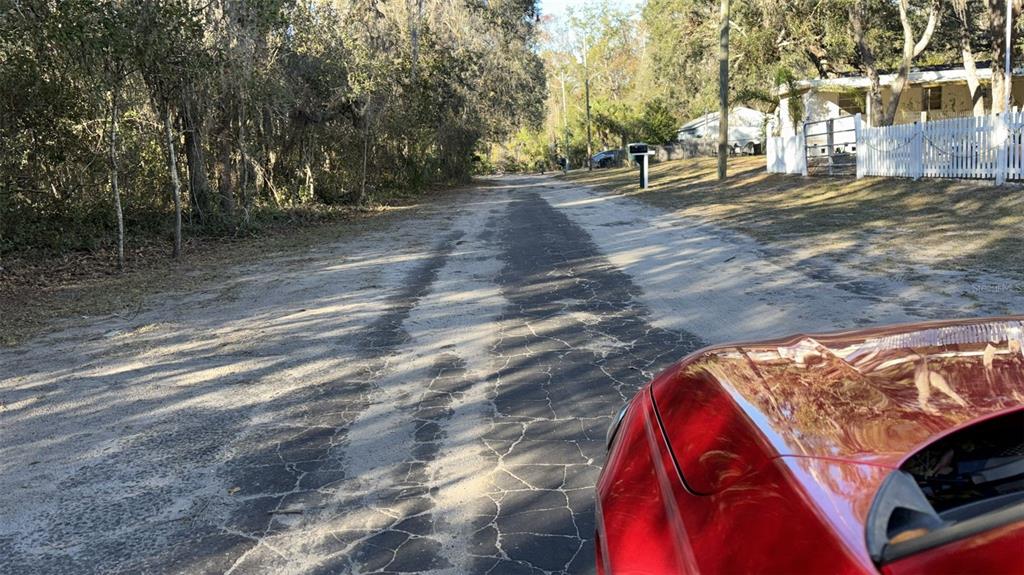 A view from a vehicle looking down a narrow, cracked asphalt road lined with trees — 0 BOUNTY/BARRETT, NEW PORT RICHEY, FL