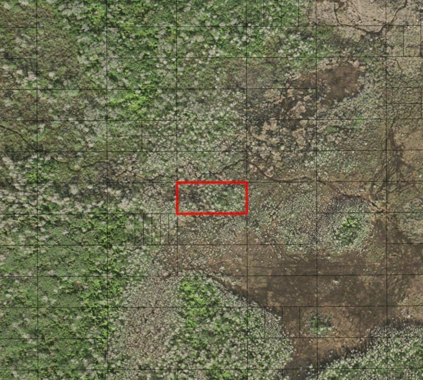 This is an aerial map view of a grassy, partially wooded plot of land — 0 Holopaw Groves Road, FL 34772, FL