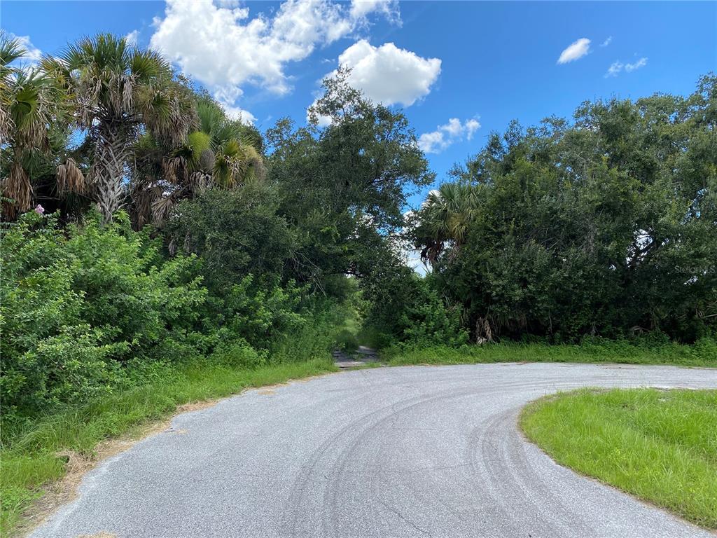 A paved road curves toward a dense area of trees and vegetation under a blue sky — SULTAN COURT, NORTH PORT, FL