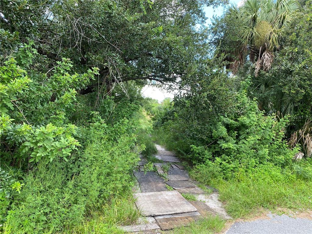 A path made of wooden boards leads into a dense, overgrown wooded area — SULTAN COURT, NORTH PORT, FL