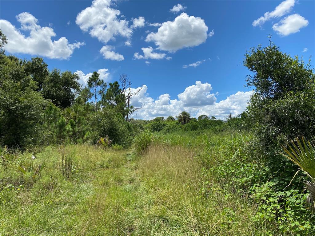 A grassy, overgrown vacant lot surrounded by dense trees and shrubs under a cloudy sky — SULTAN COURT, NORTH PORT, FL