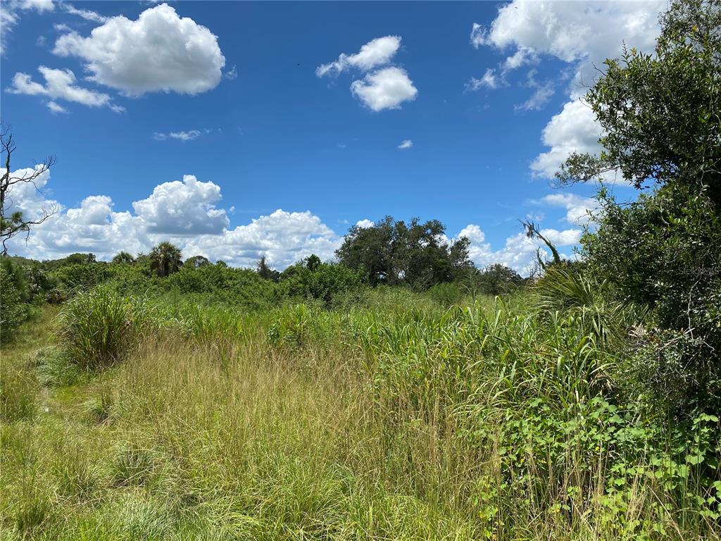 A view of an overgrown, grassy lot under a bright blue sky with scattered clouds — SULTAN COURT, NORTH PORT, FL