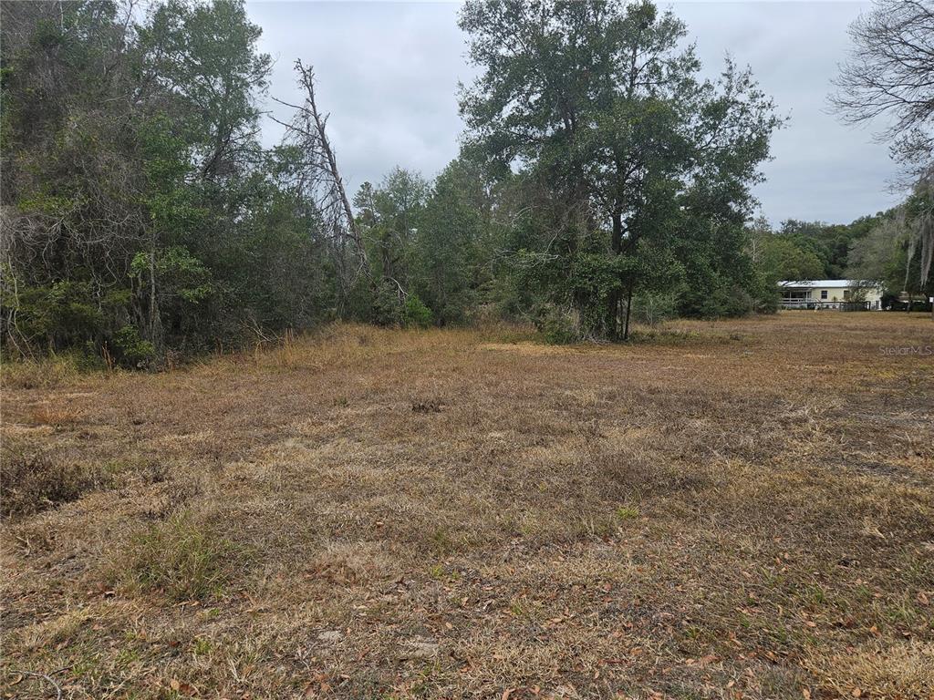 A flat, grassy vacant lot is surrounded by dense trees under a cloudy sky — SE HIGHWAY 42, WEIRSDALE, FL