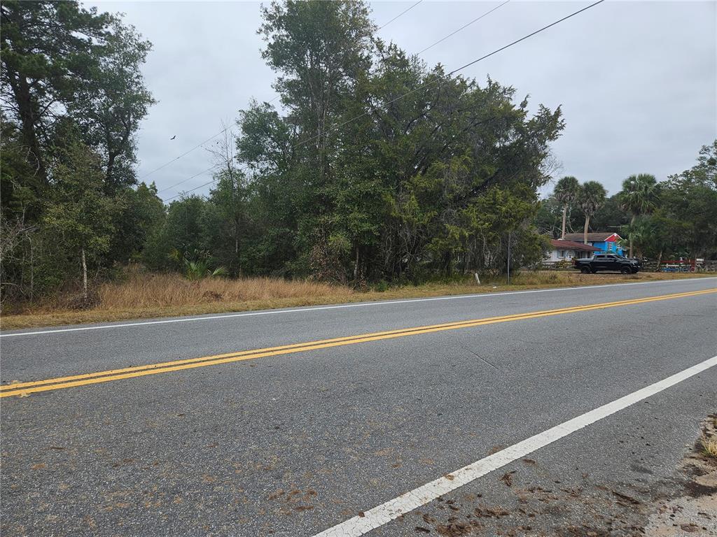 A paved road runs in front of a wooded lot with a parked truck nearby — SE HIGHWAY 42, WEIRSDALE, FL