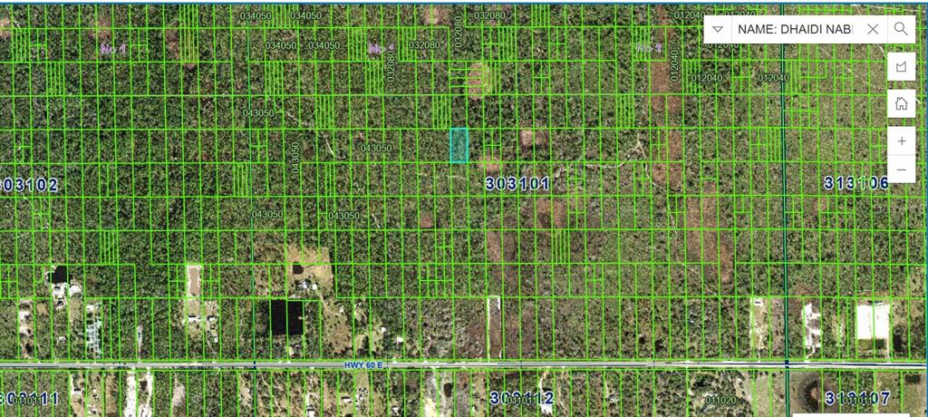 This is a satellite map showing a highlighted rectangular parcel of land among many others — HWY. 60 EAST, LAKE WALES, FL