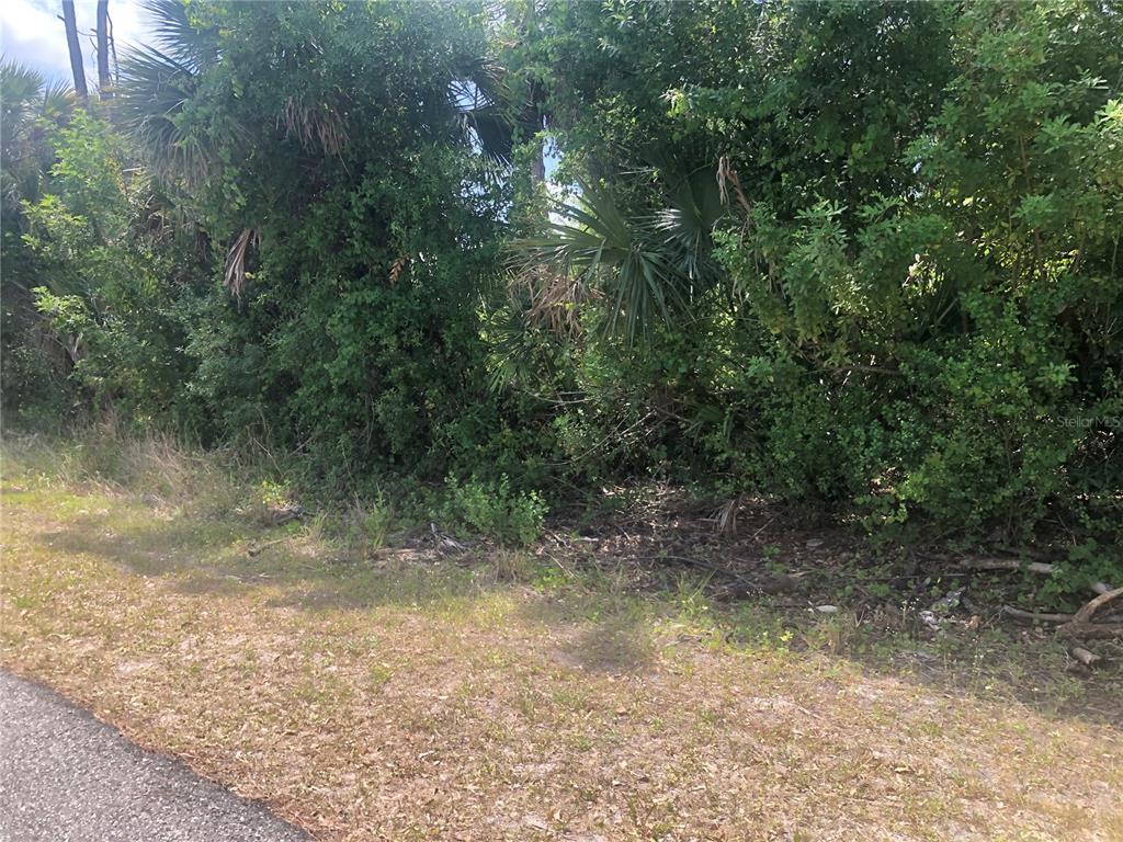 A view of a densely wooded, undeveloped lot bordering a paved road — DANDURAND AVENUE, NORTH PORT, FL