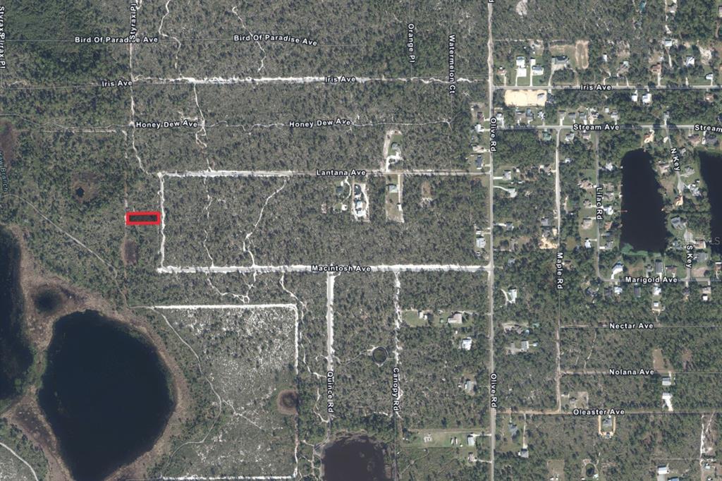 5717 N DELICIOUS ROAD, SEBRING, FL — photo 5 of 5