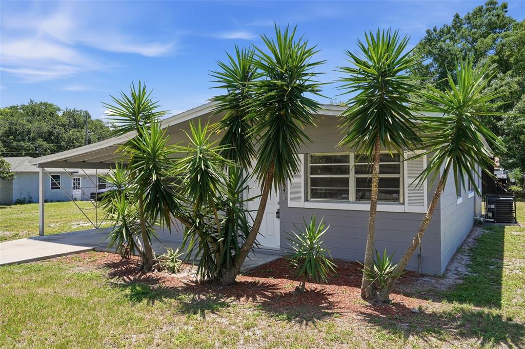 A gray single-story house with a carport and several tall yucca plants in the front — 3214 AVENUE Q NW, WINTER HAVEN, FL