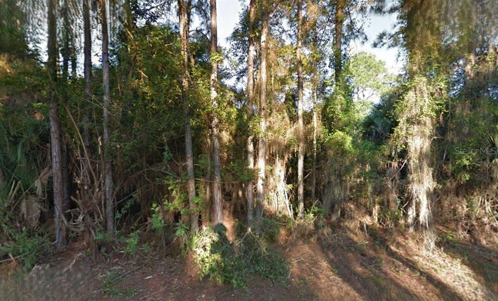 LUTZ ROAD
