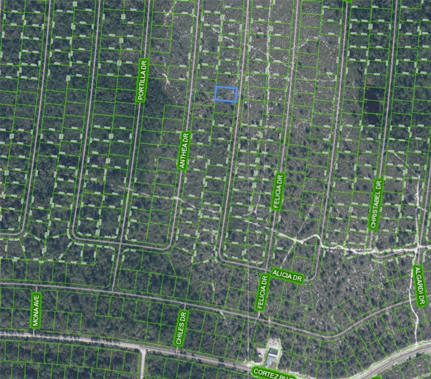 This is an aerial map showing a highlighted vacant lot within a residential subdivision — 6408 ALICIA DRIVE, SEBRING, FL