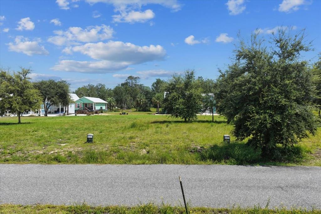 0 SW 869TH LOOP, STEINHATCHEE, FL — photo 3 of 14