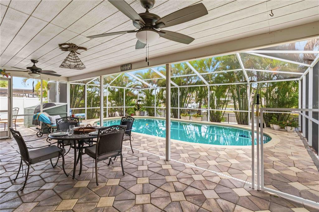 A covered patio with a dining set overlooks a screened-in swimming pool and palm trees — 1004 SPINDLE PALM WAY, APOLLO BEACH, FL
