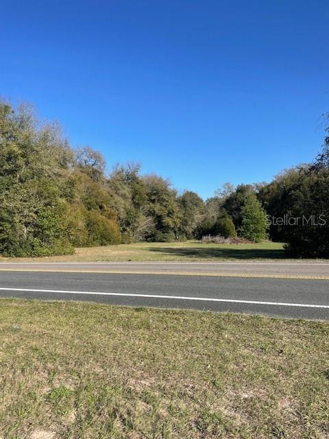 A paved road runs in front of a grassy, wooded vacant lot under a clear sky — 31415 ORANGE STREET, SORRENTO, FL