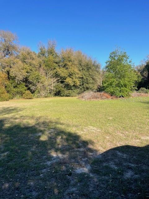 A grassy, open lot is bordered by a dense line of trees under a clear sky — 31415 ORANGE STREET, SORRENTO, FL