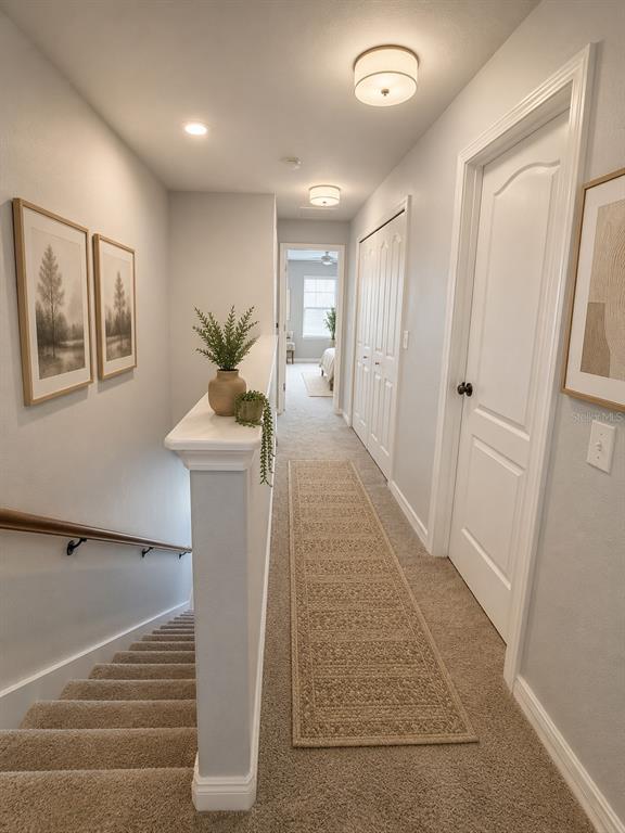 A carpeted hallway features a staircase, a runner rug, two framed pictures, and white doors — 31150 GOSSAMER WAY, WESLEY CHAPEL, FL