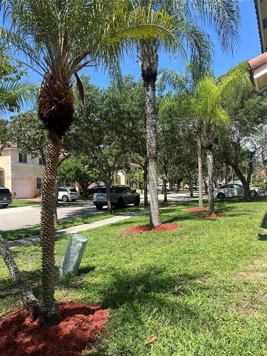 A row of palm trees stands along a grassy lawn in front of suburban houses — 3540 SW 170th Ave # 0, Miramar FL 33027, MIRAMAR, FL