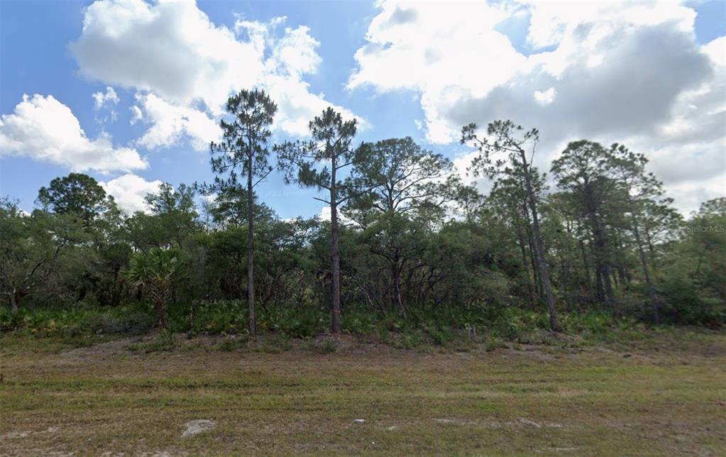 A grassy lot features a dense line of pine trees and native Florida vegetation — 1708 BISCAYNE DRIVE, PORT CHARLOTTE, FL