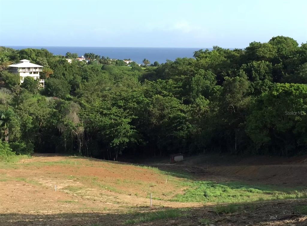 A sloped, cleared lot overlooks a dense forest with a distant ocean view — 413 CUCHILLO BARRIO PUNTAS, RINCON, PR