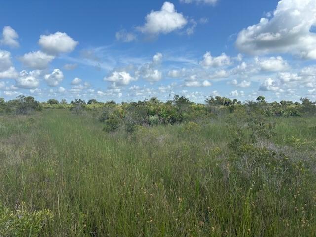 A grassy field with scattered shrubs and palm trees under a bright blue sky — 0 NW 318th Street, Okeechobee FL 34972, OKEECHOBEE, FL