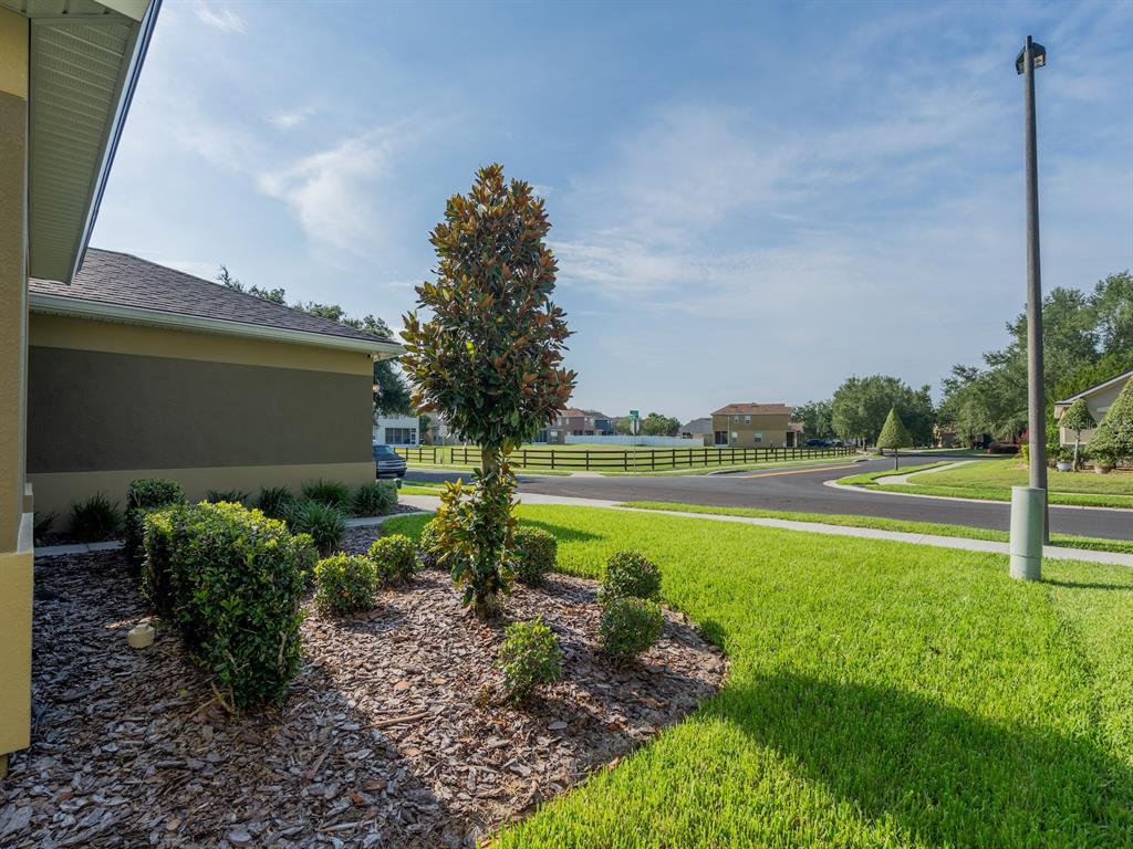 A landscaped garden bed with a small tree sits beside a house near a street — 5177 SW 39TH STREET, OCALA, FL