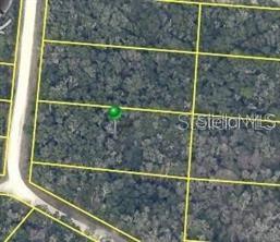 An aerial map view shows a wooded plot of land outlined in yellow — 7490 SHASTA STREET, WEBSTER, FL