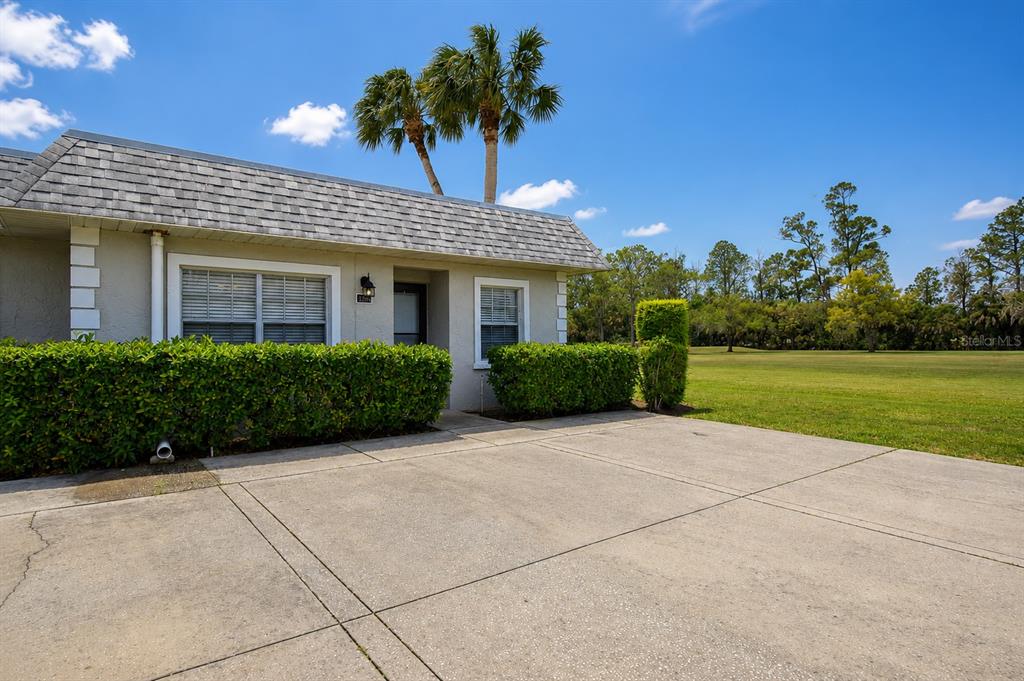 A single-story house with a concrete driveway, a hedge, and palm trees under a blue sky — 3683 TROPHY BOULEVARD, NEW PORT RICHEY, FL