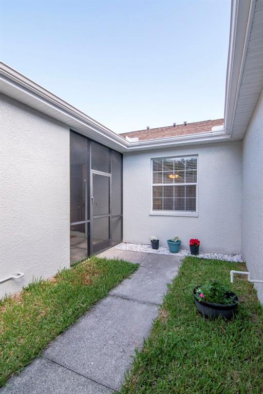 A concrete walkway leads to a screened entryway and a window on a stucco exterior — 7308 CLEOPATRA DRIVE, LAND O LAKES, FL