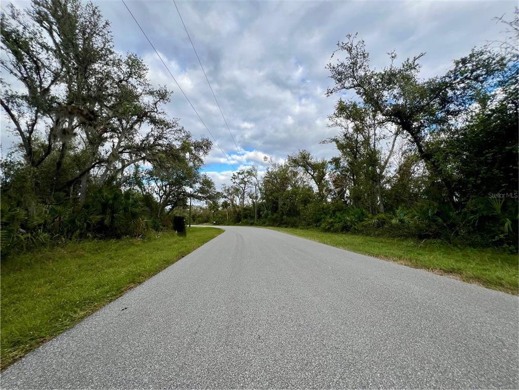 A paved road curves through a wooded area under a cloudy sky — 1131 BOWMAN TERRACE, PORT CHARLOTTE, FL