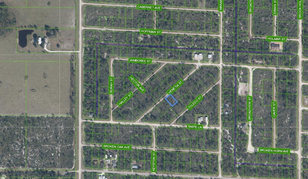 An aerial map shows a highlighted vacant residential lot located near Venetia Street — 3535 VENETIA STREET, LAKE PLACID, FL