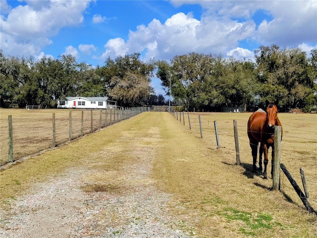 14240 SR 471, WEBSTER, FL — photo 3 of 29