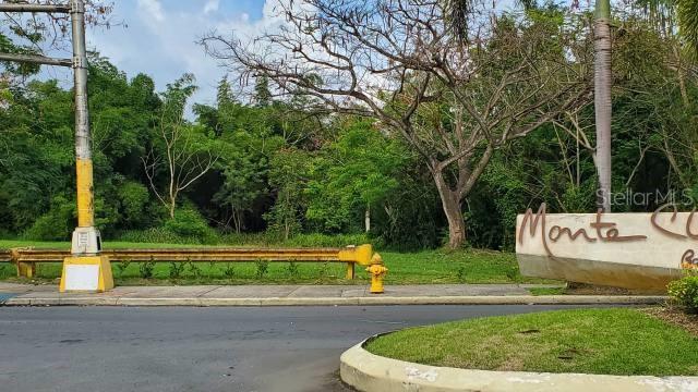 A yellow fire hydrant stands on a grassy curb near a neighborhood entrance sign — PR-22 INT PR-866, BAYAMON, PR