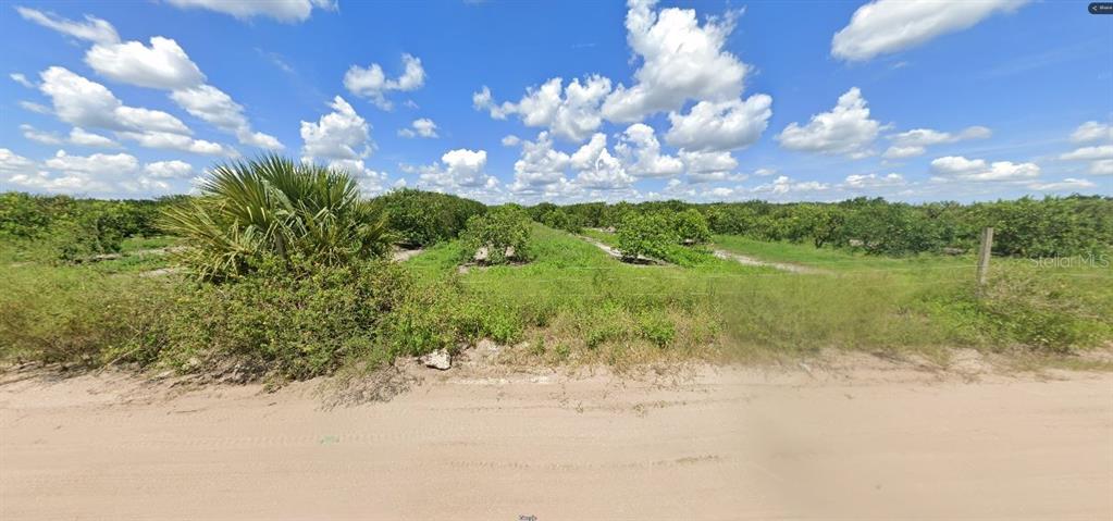 A dirt road runs in front of a grassy field with rows of citrus trees — HOLOPAW GROVES ROAD, ST CLOUD, FL