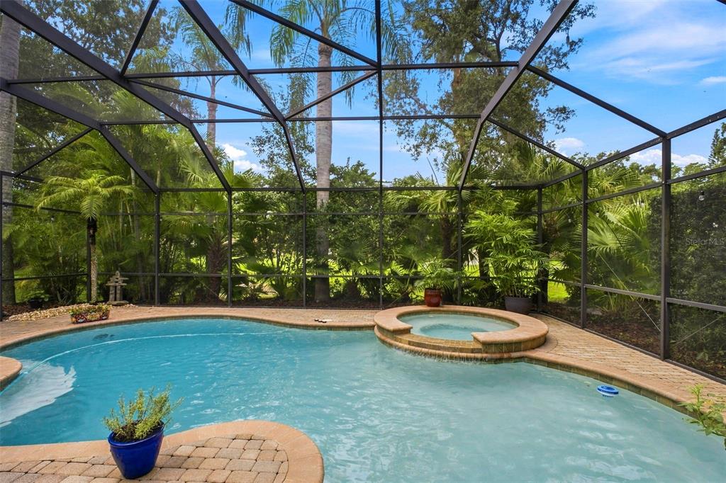 2862 DEER RUN, TARPON SPRINGS, FL — photo 2 of 30