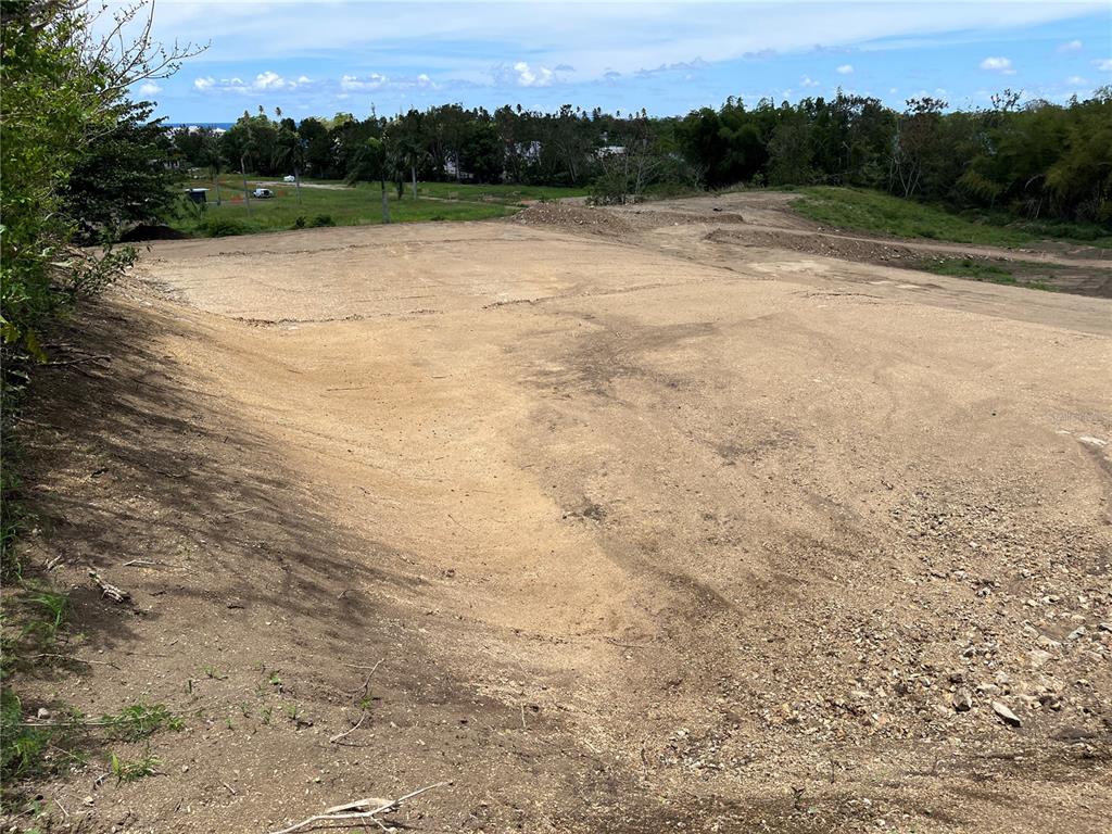 A large, cleared, and graded dirt lot with trees in the background under a blue sky — SIX LOTS FOR SALES PRICE START $170K, RINCON, PR