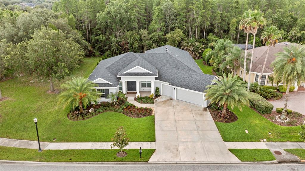 An aerial view of a single-story suburban house with a gray roof and driveway — 20454 LACE CASCADE RD, LAND O LAKES, FL