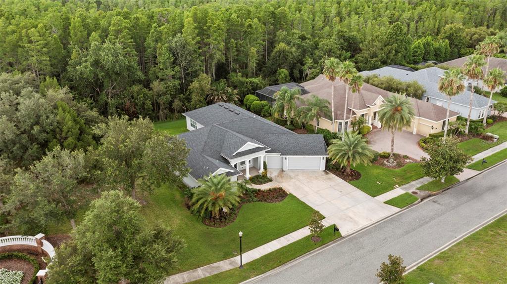 An aerial view shows a single-story house with a dark roof and a concrete driveway — 20454 LACE CASCADE RD, LAND O LAKES, FL