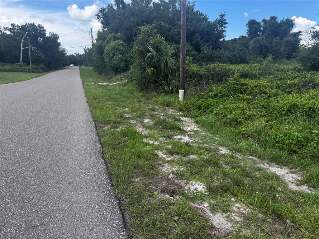 A paved road runs alongside a grassy, wooded lot with a utility pole and pipe — 100 DAHOON BOULEVARD, PUNTA GORDA, FL
