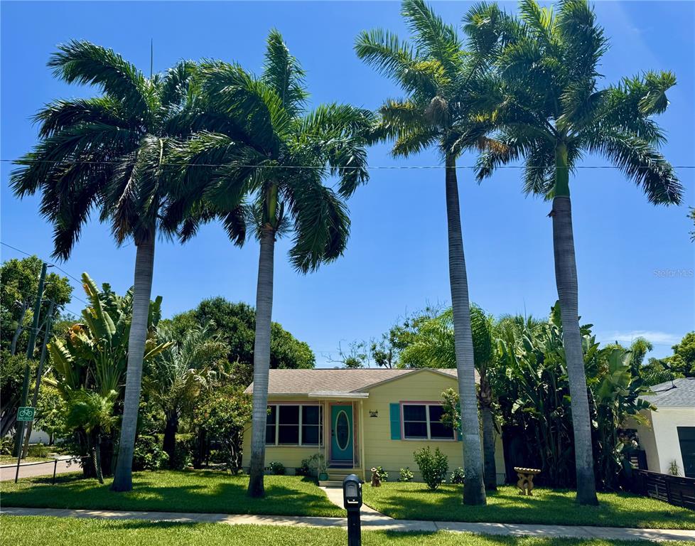 A yellow house with a teal front door stands behind four tall palm trees — 2602 UPTON STREET S, GULFPORT, FL