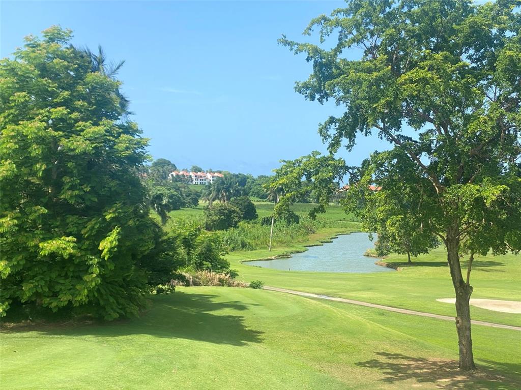 A view of a golf course with a pond, trees, and distant buildings under blue sky — 4703 RIO MAR VILLAGE, RIO GRANDE, PR