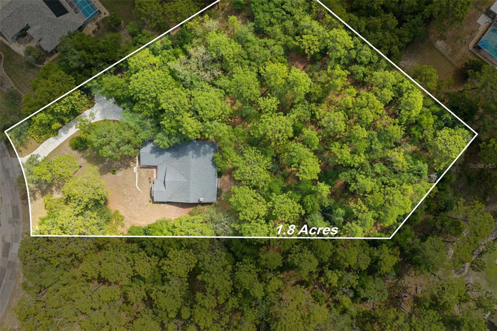 An aerial view shows a house situated on a wooded 1.8-acre lot — 4381 N CAPISTRANO LOOP, BEVERLY HILLS, FL