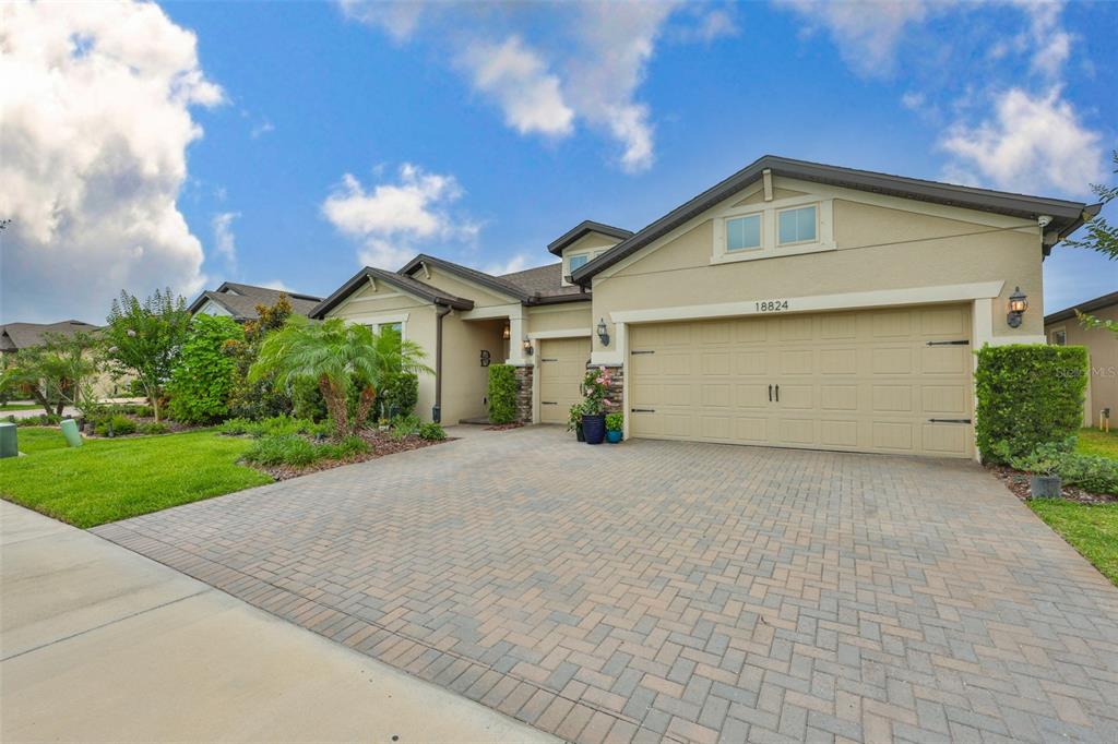 A single-story house with a beige stucco exterior, a paved driveway, and a two-car garage — 18824 ALDER GLEN DRIVE, LUTZ, FL