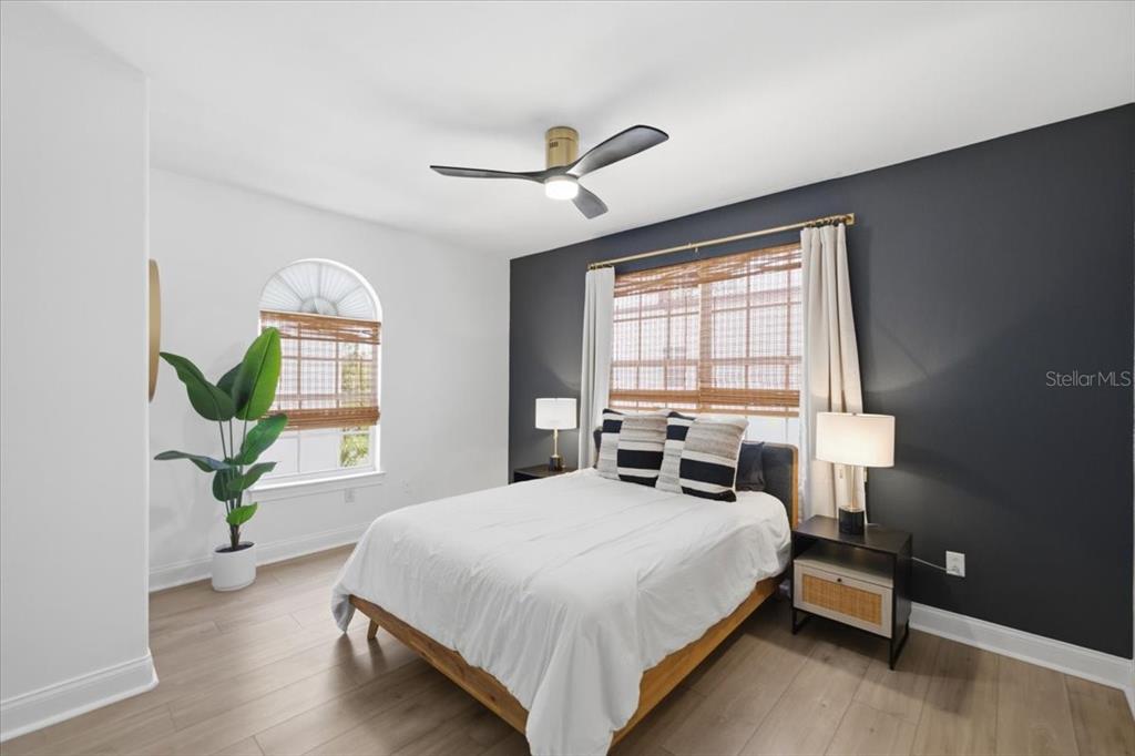 A bedroom features a dark accent wall, a bed with striped pillows, and a ceiling fan — 2315 W NORTH A STREET UNIT 3, TAMPA, FL