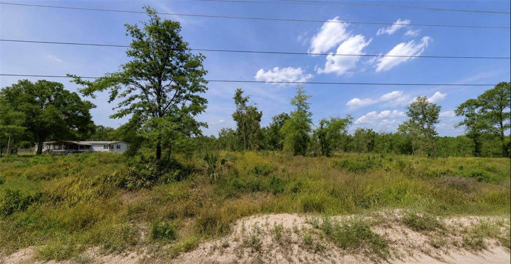 A grassy, undeveloped lot features scattered trees and a house visible in the distance — 5499 E STOKES FERRY RD, HERNANDO, FL
